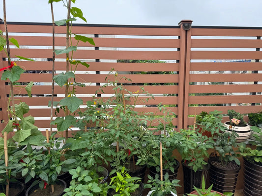 Porte en aluminium Rothnow® - Porte en verre filaire bronze série 16x45