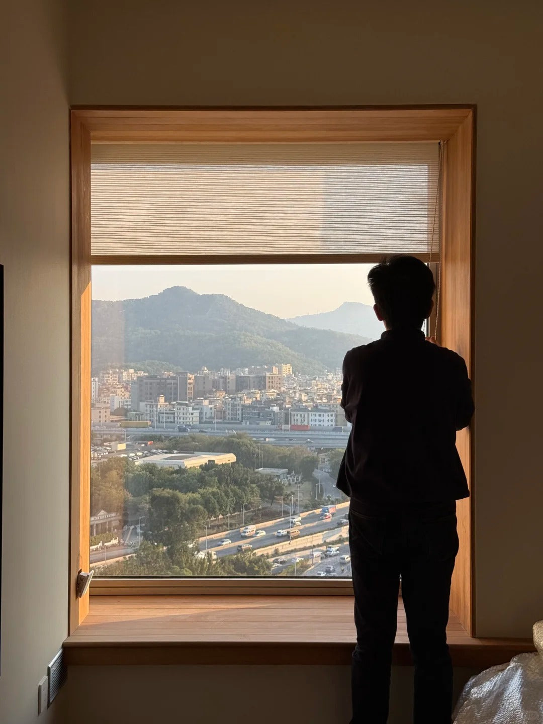 Rothnow® Wooden Window-RNWW03-Fixed Window