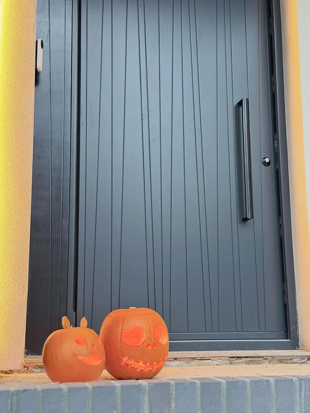 Rothnow® cast aluminum front door with brown finish, pivot design, 800mm wide by 2100mm high, wall thickness 150mm, for entrance.