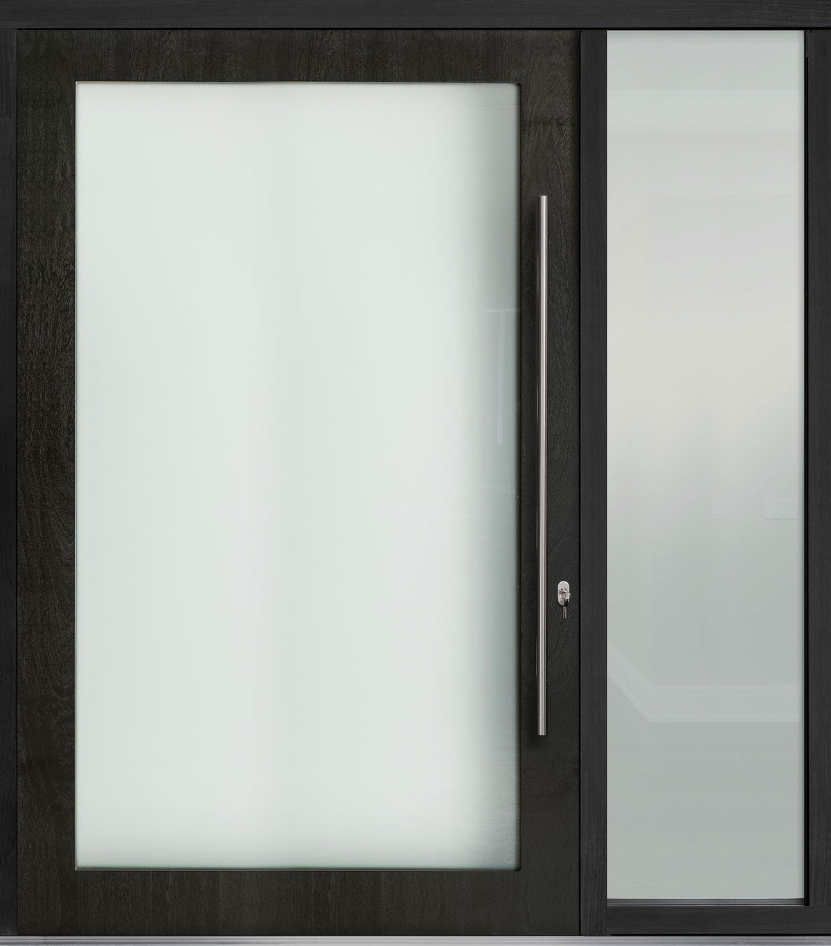 Rothnow® French Style Aluminum Door 46 Series, black pivot and French-style door with sleek modern design, 900mm wide, 2200mm high