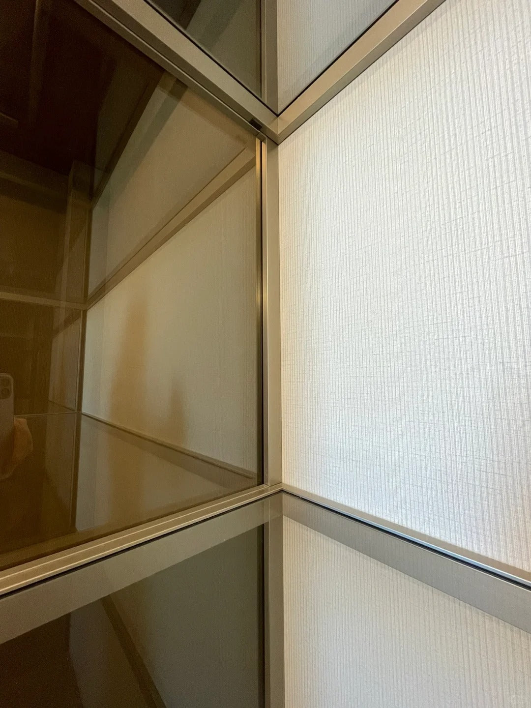 Rothnow aluminum glass door wardrobe with sleek black finish, custom size, modern design, and clear glass panels.