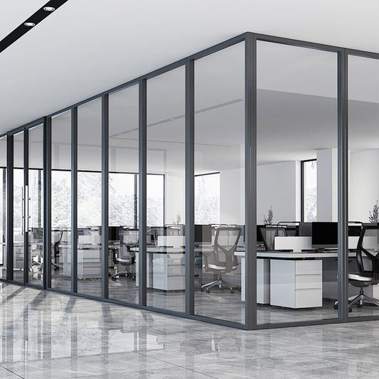 Rothnow® 100 series glass partion-office partition-PR-A80-E