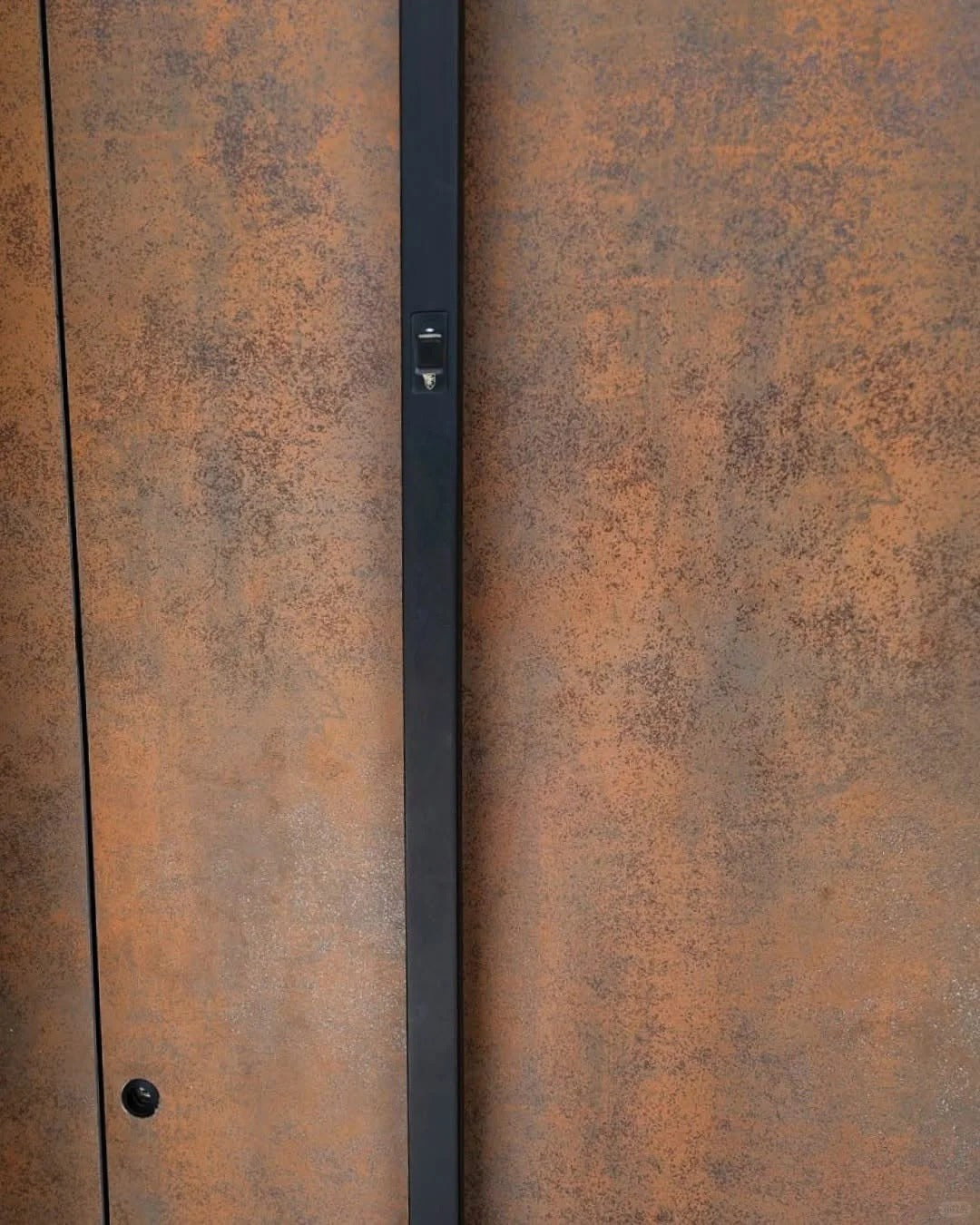Rothnow cast aluminum front door with brown finish, pivot design, 800mm width, 2100mm height, 150mm wall thickness.