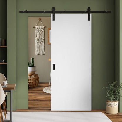 Rothnow wooden sliding barn door with HPL finish, 800mm wide and 2100mm high, mounted on wall for interior use.