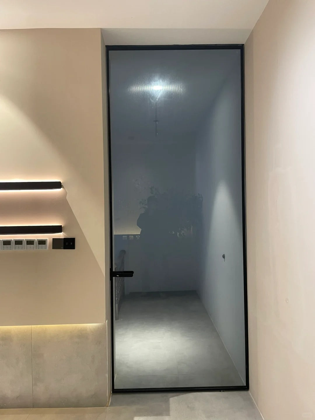 Rothnow aluminum pivot door with European grey glass, 16x45 series, white frame, modern design, large clear glass panel.