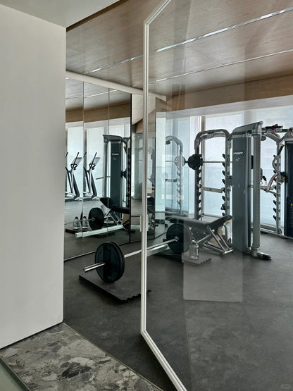Rothnow Aluminum Pivot Door with clear glass, 16x45 series, white finish, suitable for gym or interior entry, 820mm W x 2220mm H