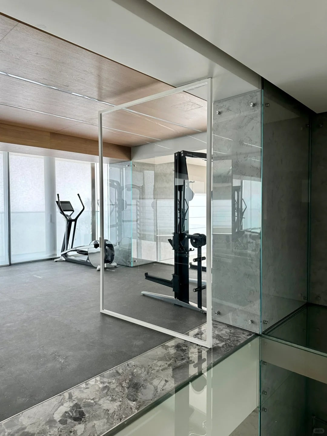 Rothnow® Aluminum 16x45 Series Pivot Door with clear glass skin, white finish, suitable for gym or interior use.
