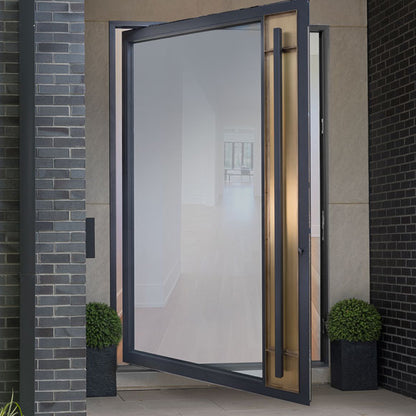 Rothnow® 46 Series aluminum pivot exterior door, 900mm wide by 2200mm high, with black finish and modern design.