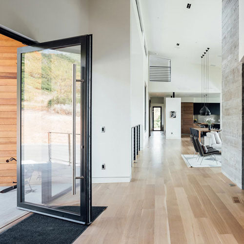 Rothnow® Aluminum 46 Series Pivot Interior Door, 900mm wide x 2200mm high, with black finish and sleek modern design