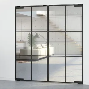 Rothnow® Aluminum 46 Series Pivot Door with black finish and sleek line decoration, 900mm wide by 2200mm high.
