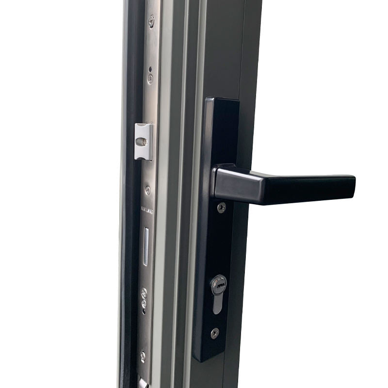 Rothnow® Aluminum 50 Series Swing Exterior Door, 900mm W x 2200mm H with black finish and modern design.