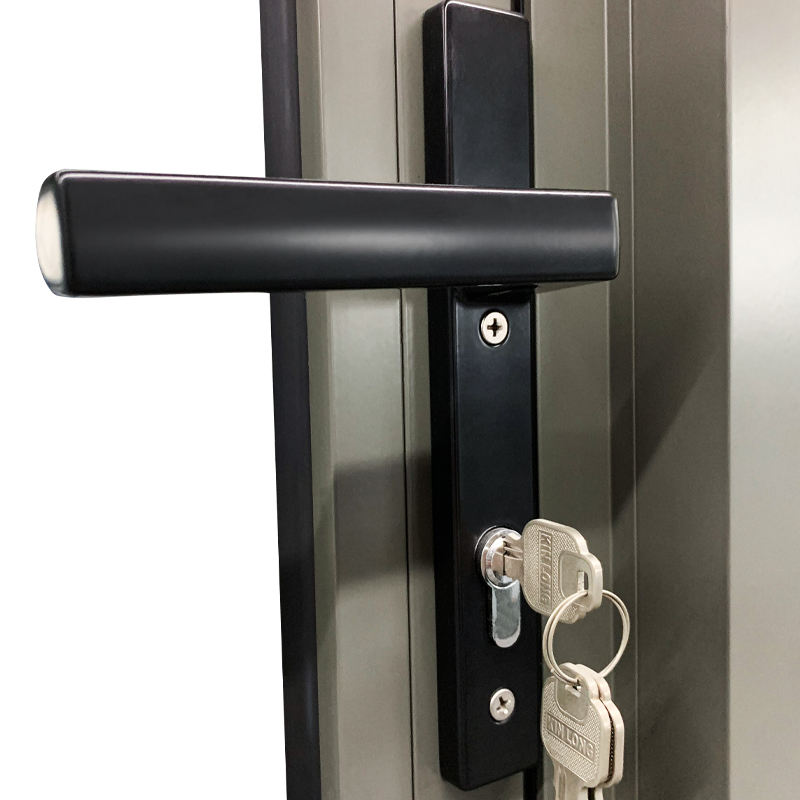 Rothnow® Aluminum 50 Series Swing Exterior Door in black, 900mm wide by 2200mm high, with sleek modern design.