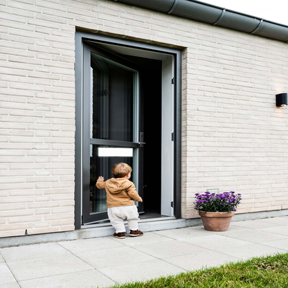 Rothnow Aluminum 55 Series Swing Front Door, 900mm W x 2200mm H, black finish, 1.8mm thickness, main entry door.