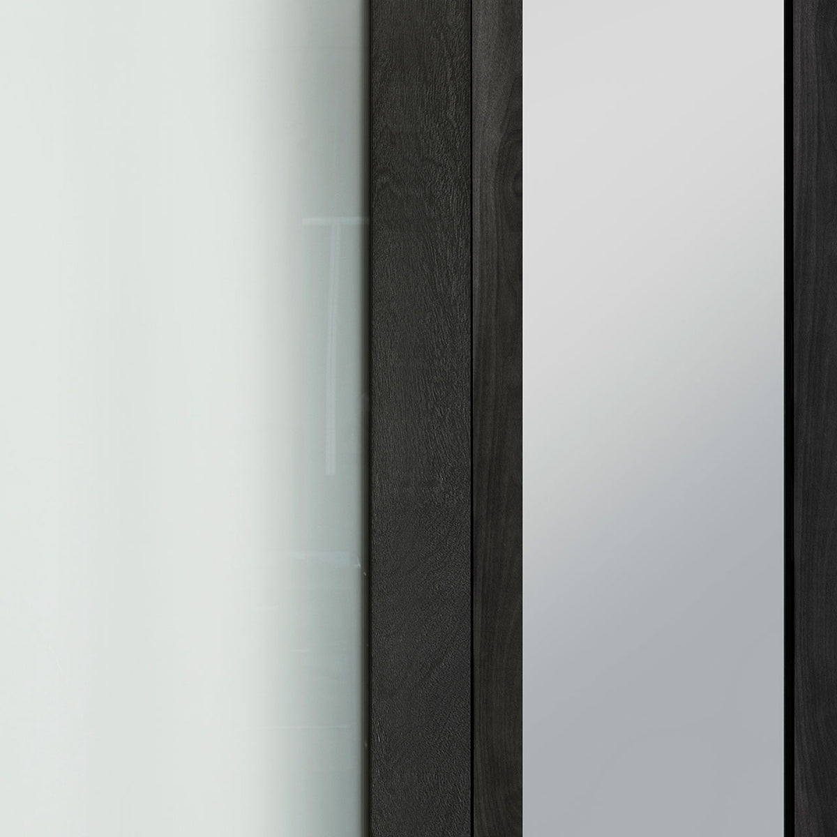 Rothnow® French Style Aluminum Door 46 Series, black pivot and French door, with sleek modern design and aluminum frame.
