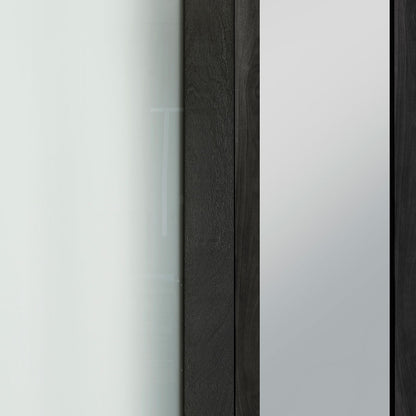 Rothnow® French Style Aluminum Door 46 Series, black pivot and French door, with sleek modern design and aluminum frame.