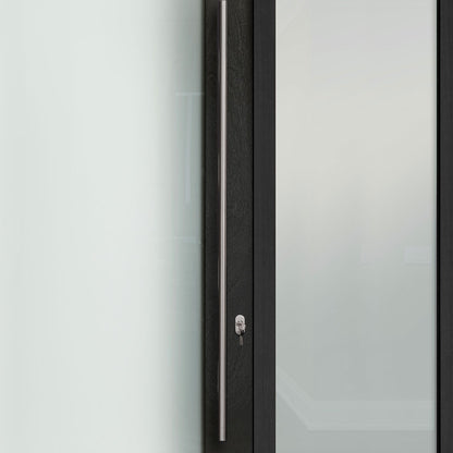 Rothnow® French Style Aluminum Door 46 Series, black pivot and French door with sleek modern design, 900mm width and 2200mm height.