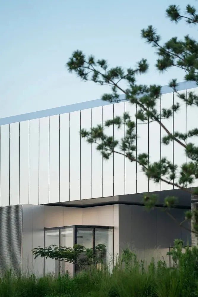 Black Rothnow aluminum panel curtain wall window, customized size, modern architectural design for building facade.
