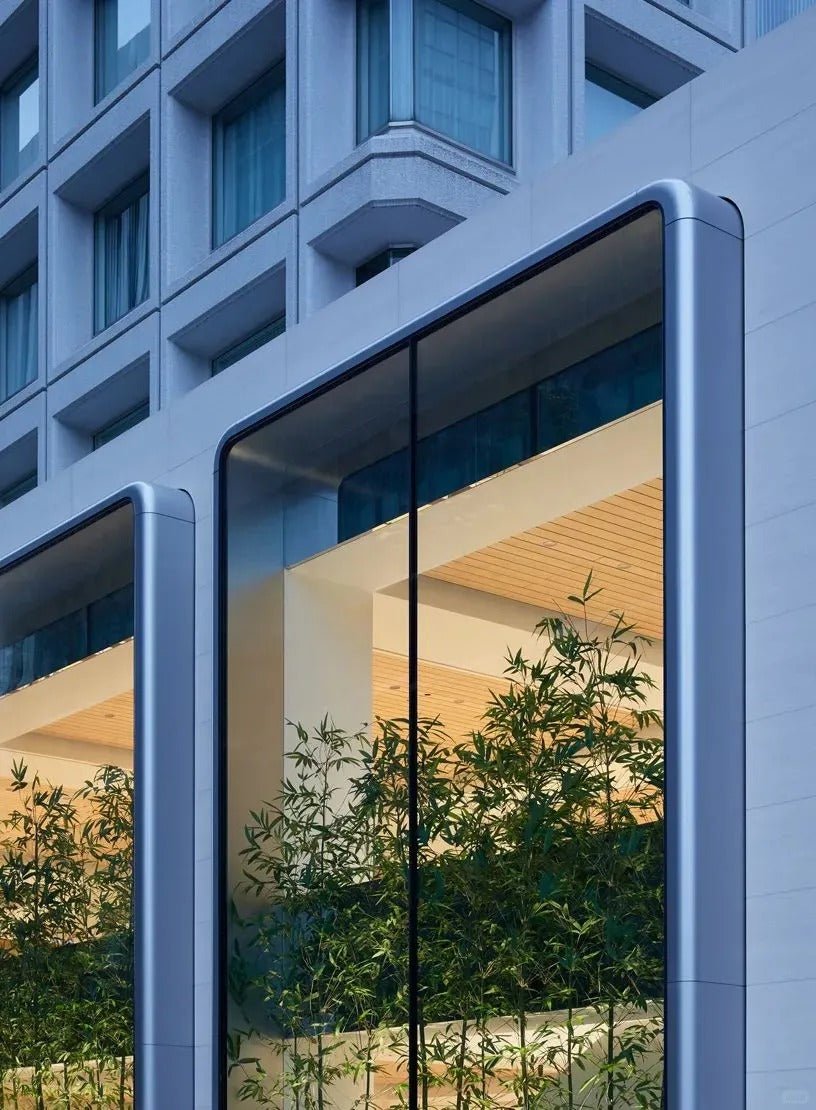 Black Rothnow aluminum panel curtain wall window, customized size, modern exterior building cladding, sleek and durable design.