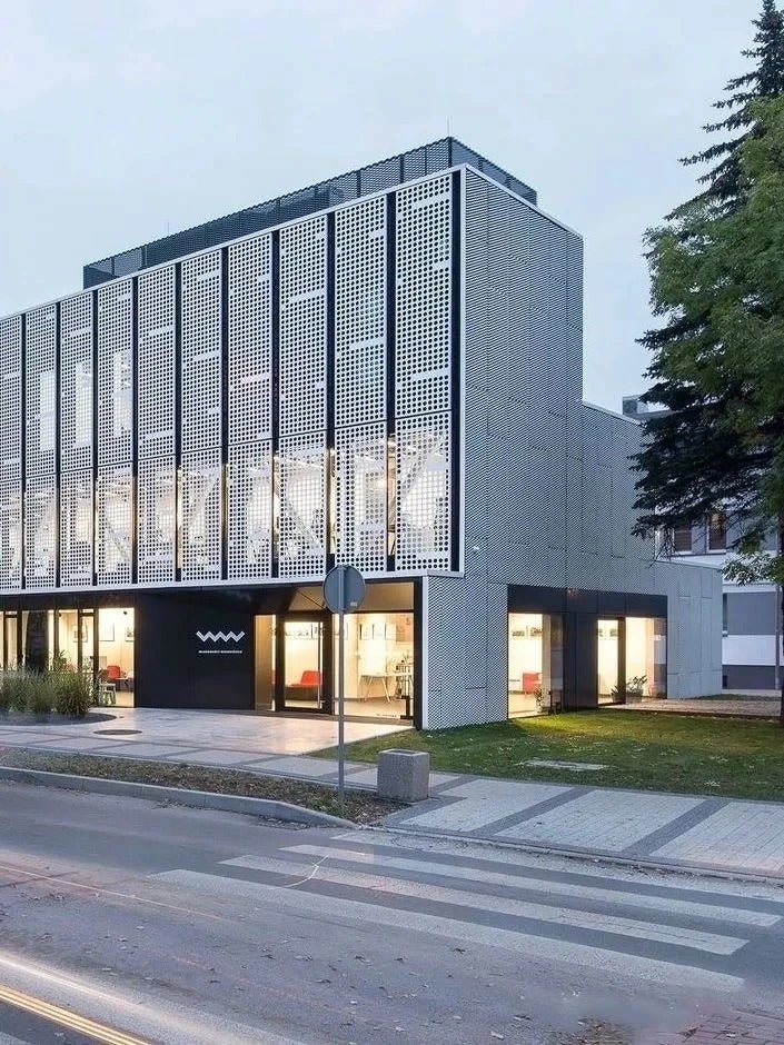Black Rothnow® aluminum panel curtain wall, customized size, featuring sleek window design and modern architectural style.