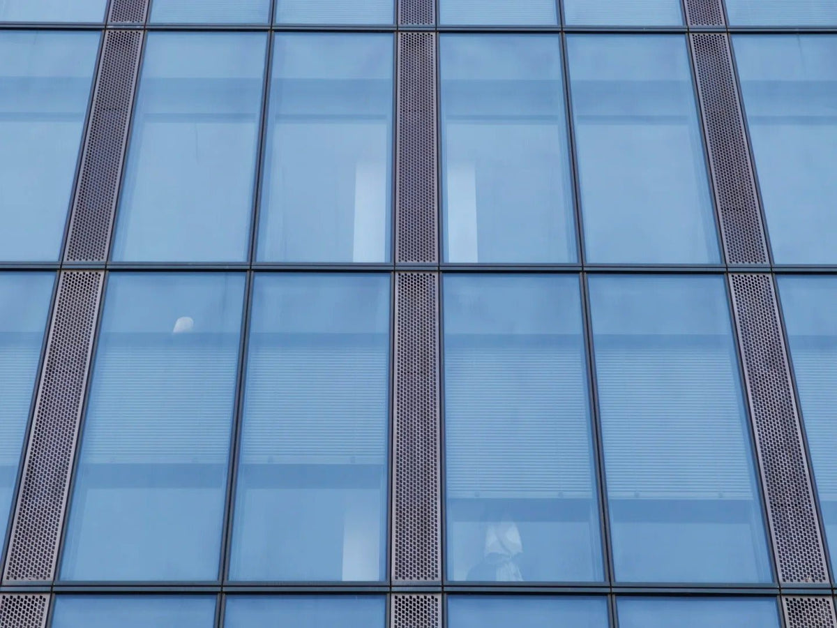 Black Rothnow glass curtain wall with exposed frame, customized size, showcasing modern architectural exterior design.