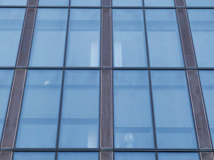 Black Rothnow glass curtain wall with exposed frame, customized size, showcasing modern architectural exterior design.