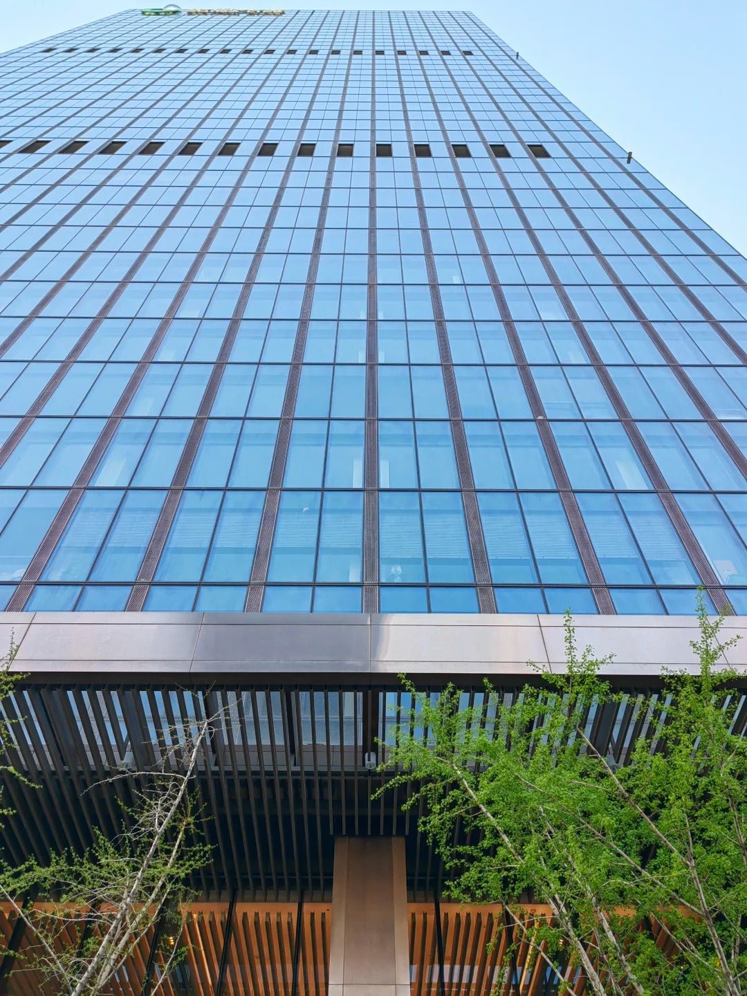 Rothnow® glass curtain wall with exposed black frame, custom-sized for modern building facade, showcasing sleek glass panels.