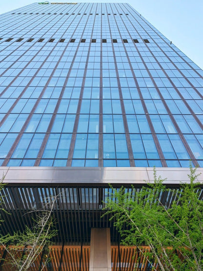 Rothnow® glass curtain wall with exposed black frame, custom-sized for modern building facade, showcasing sleek glass panels.