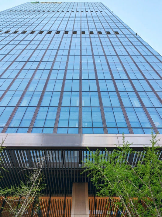Rothnow® glass curtain wall with exposed black frame, custom-sized for modern building facade, showcasing sleek glass panels.