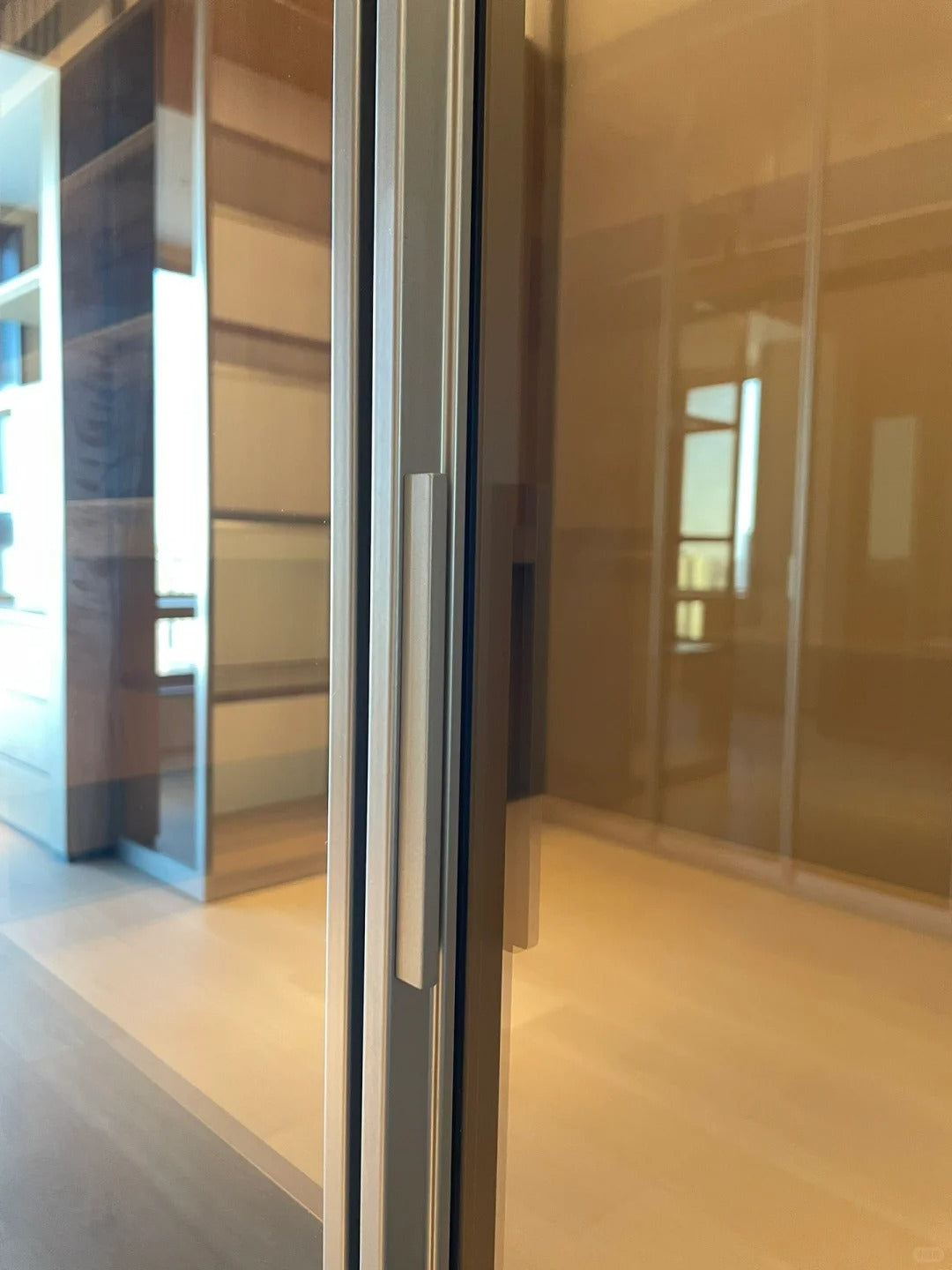 Rothnow aluminum glass door wardrobe with black finish, featuring sleek modern design and spacious storage.