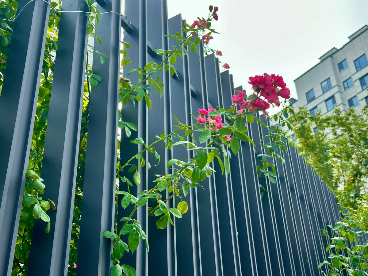 Black Rothnow wrought iron railing and fence with decorative design, custom-sized for outdoor safety and aesthetic enhancement.